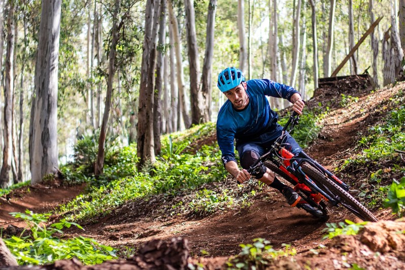 Georgia mountain biking trail turn.