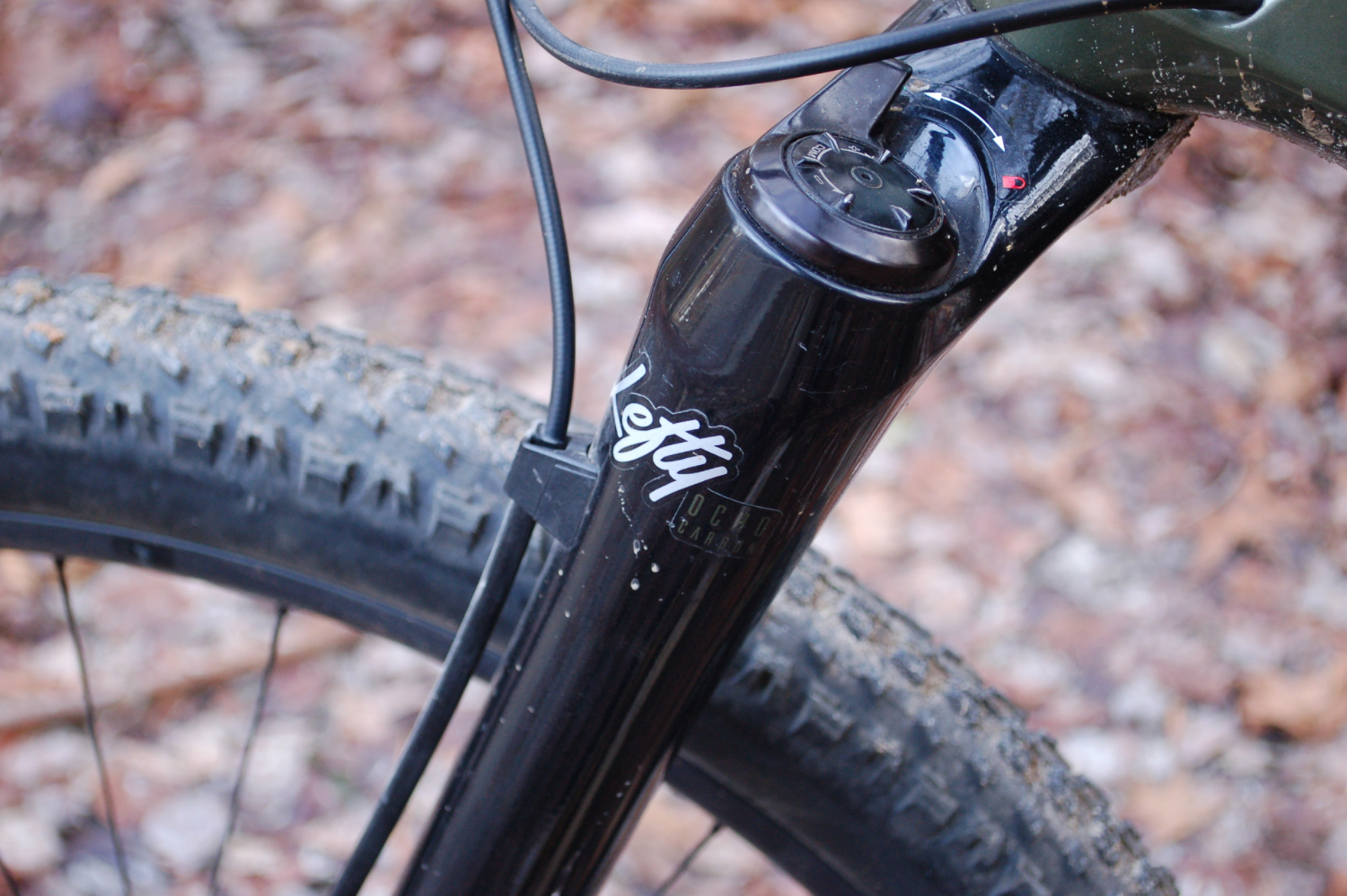 scalpel se ltd