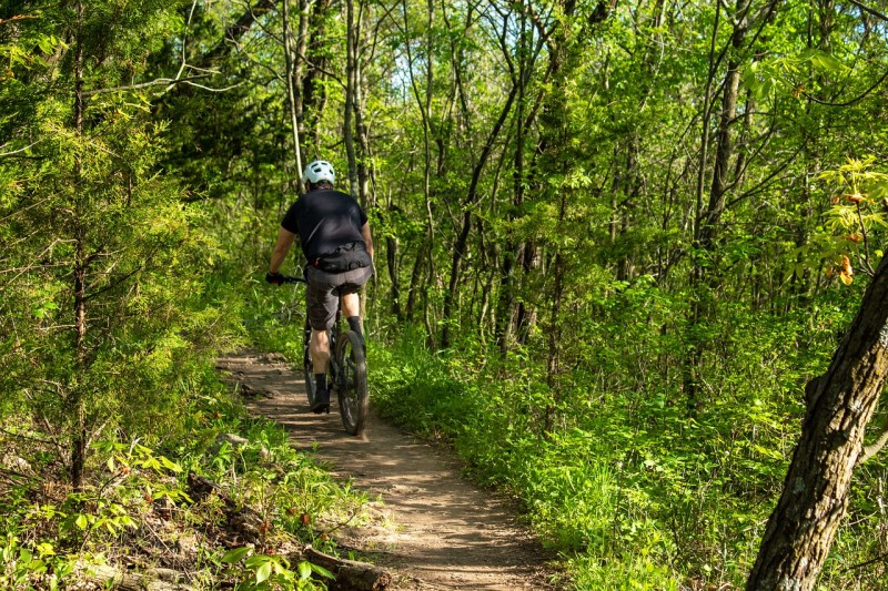 mountain biking trail in georgia.