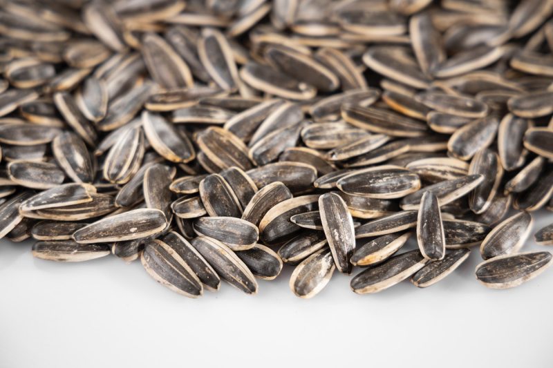 Sunflower seeds.