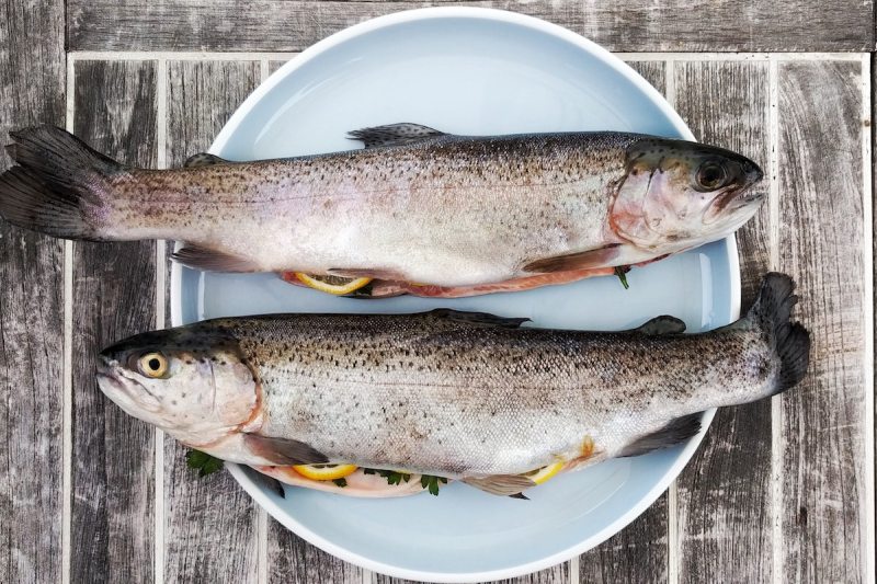 Two whole trout fish on a plate