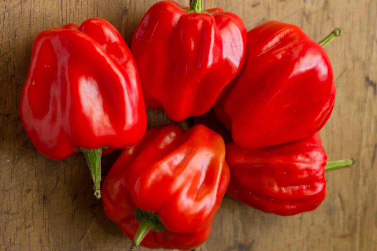 Red peppers