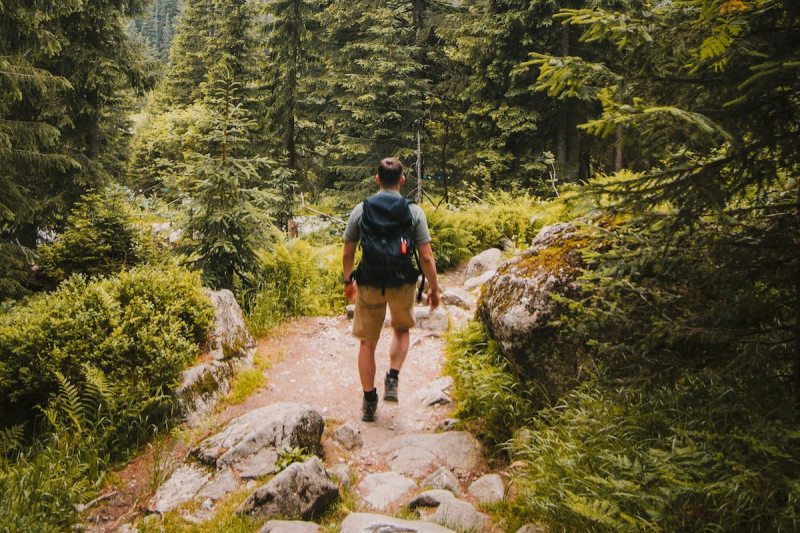 Hiking Time Calculator - quick & easy hiking time estimates.