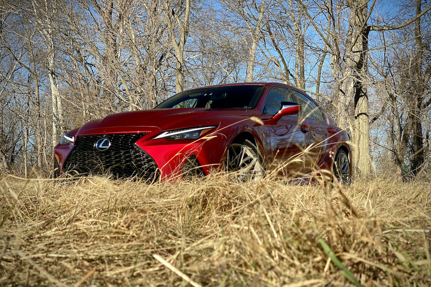 Lexus IS 500 front end from driver's side angle in a grassy field.
