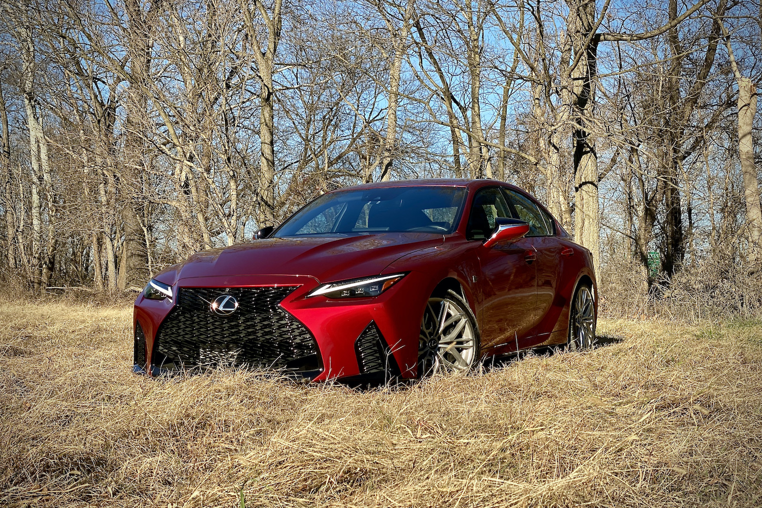 Lexus IS 500 front end from driver's side in a grassy field.