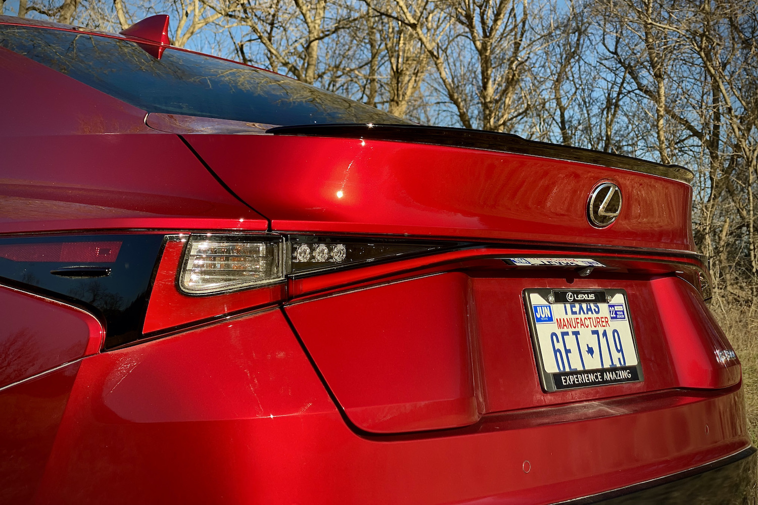 Lexus IS 500 rear taillight close up in front of trees.