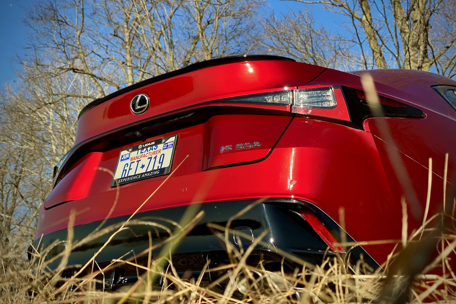 Lexus IS 500 close up of rear end from passenger's side in front of tall grass.