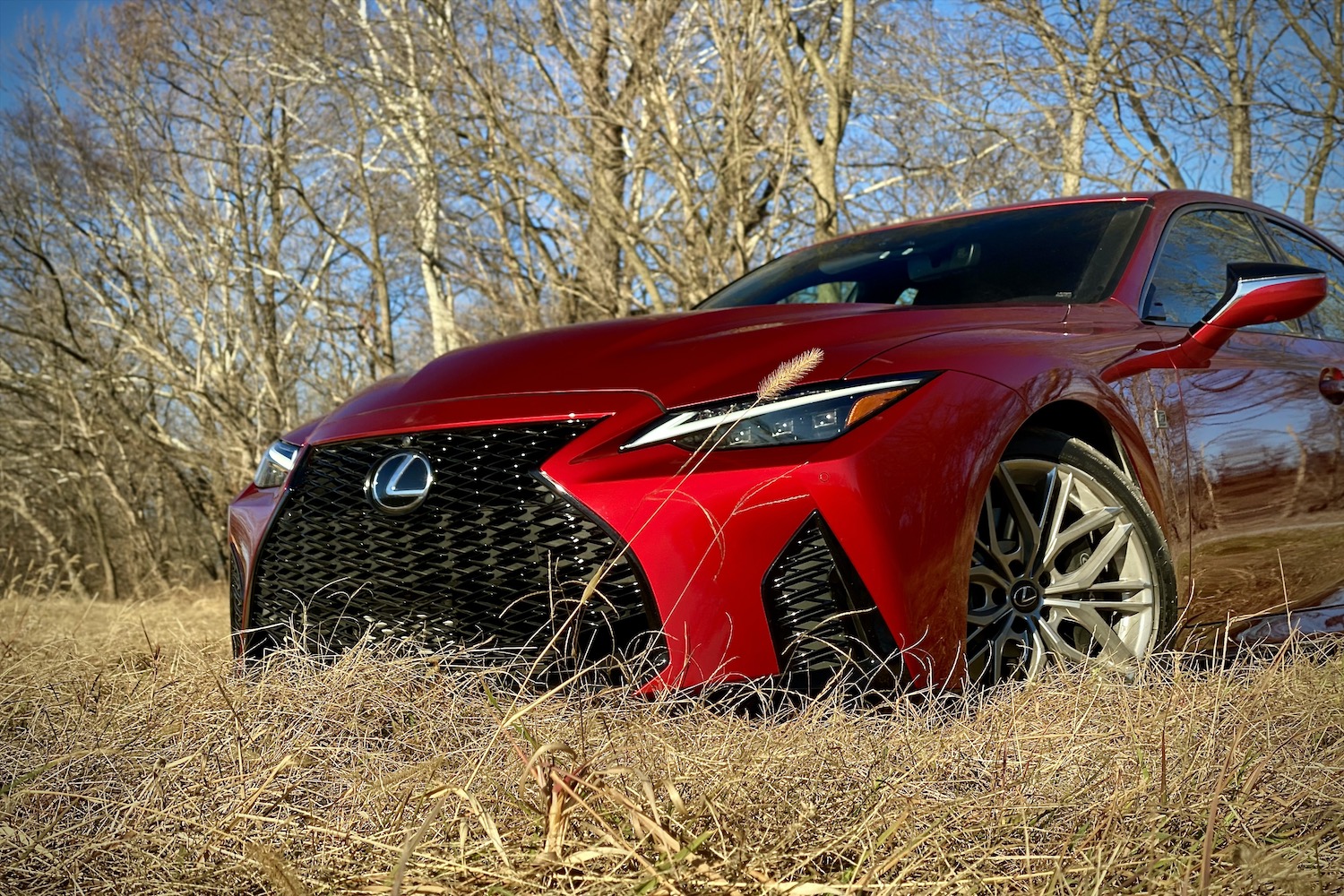Front end of Lexus IS 500 in a grassy field from driver's side.