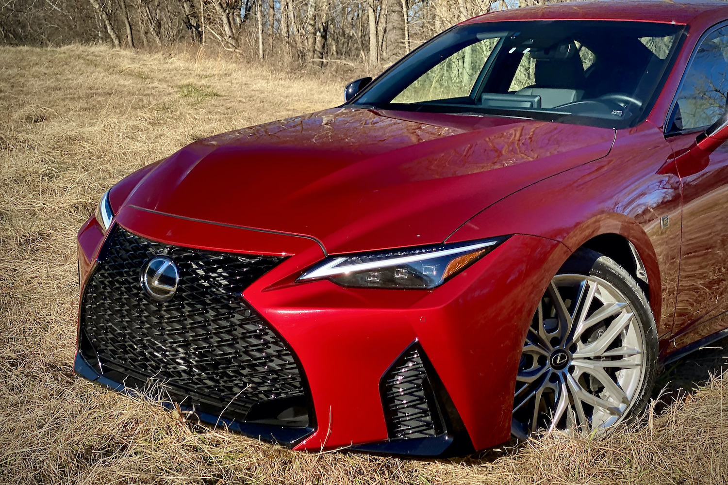 Lexus IS 500 front end from driver's side from above.