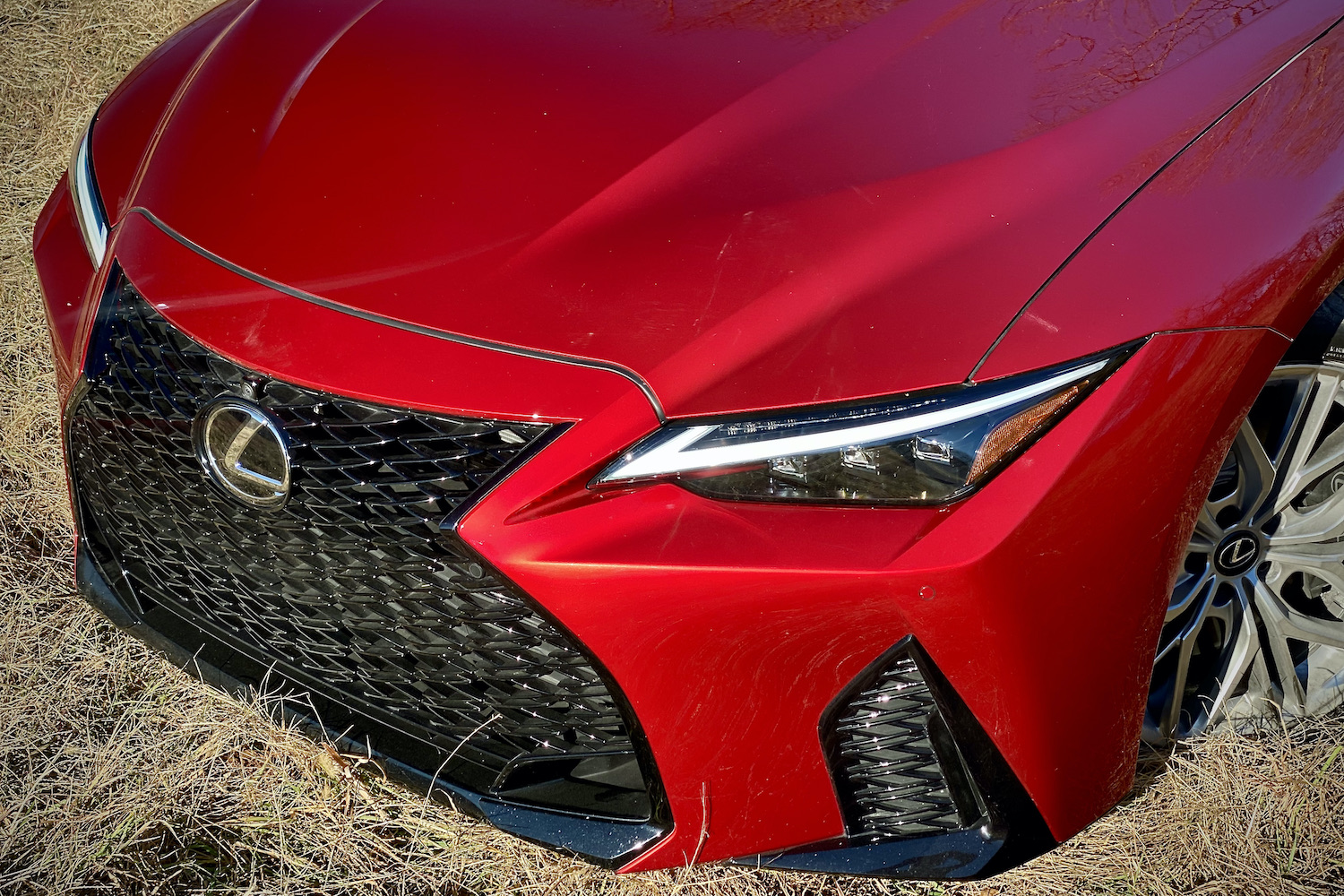Close up of Lexus IS 500 front headlight in a grassy field.