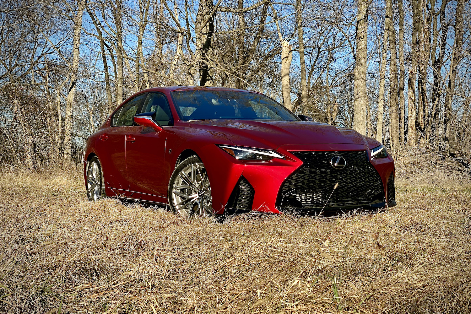 Lexus IS 500 front end from passenger side in a grassy field.