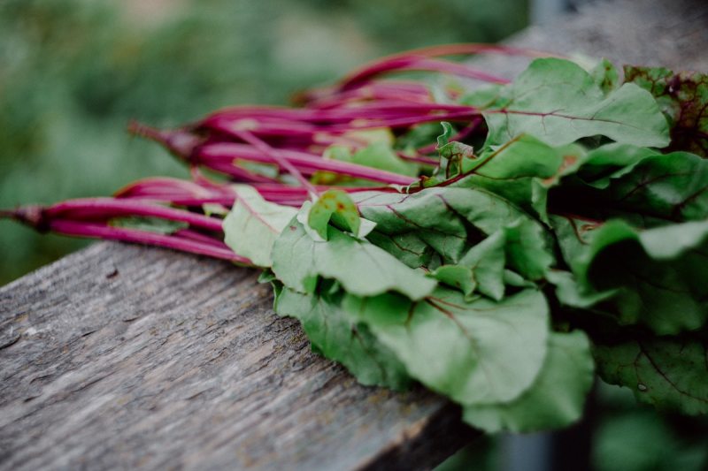 Beet greens