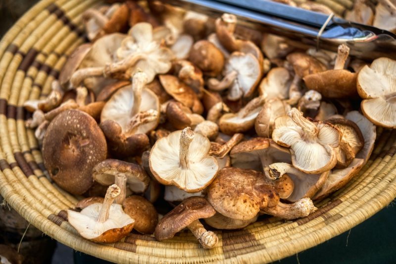 Shiitake mushrooms.