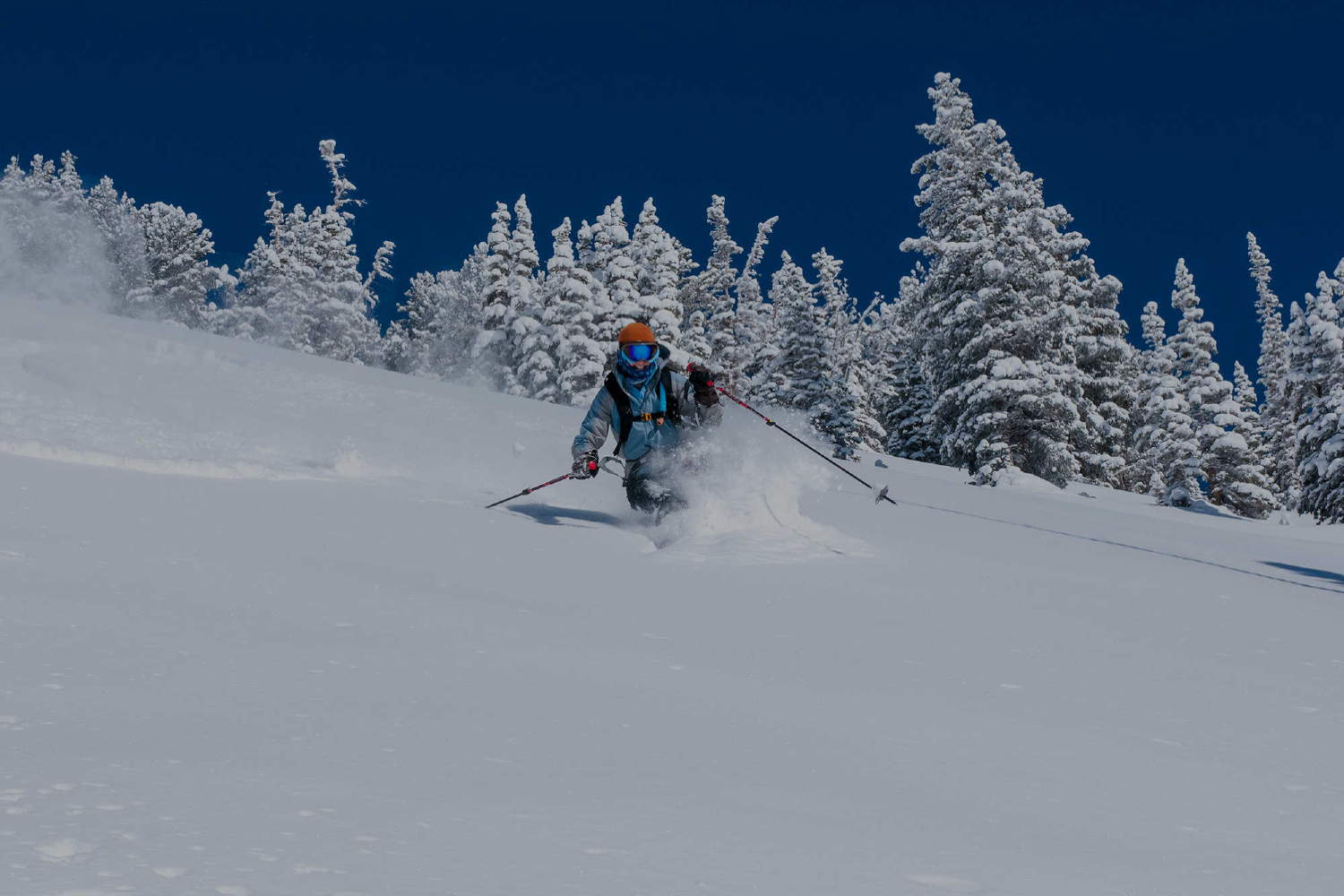 Skier on slopes