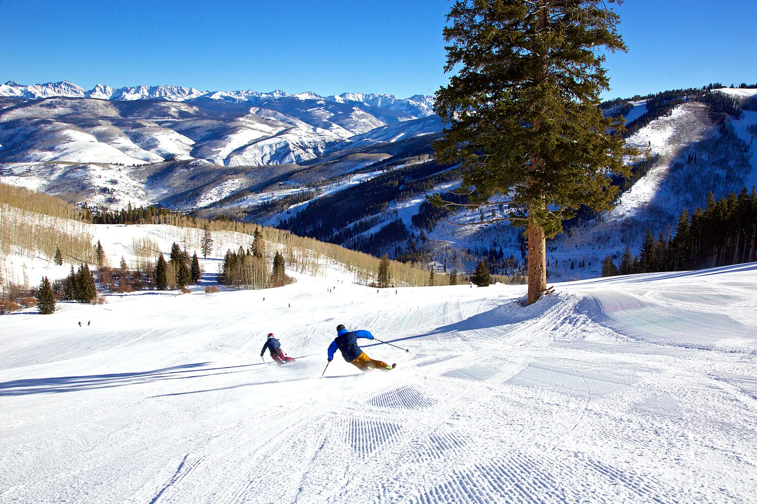 Skiiers shred slopes