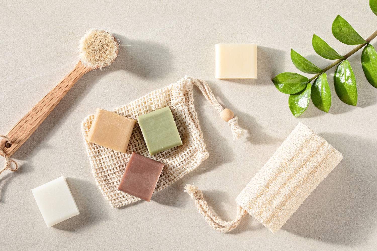 Environment-friendly grooming and bath products beside a plant on a surface.