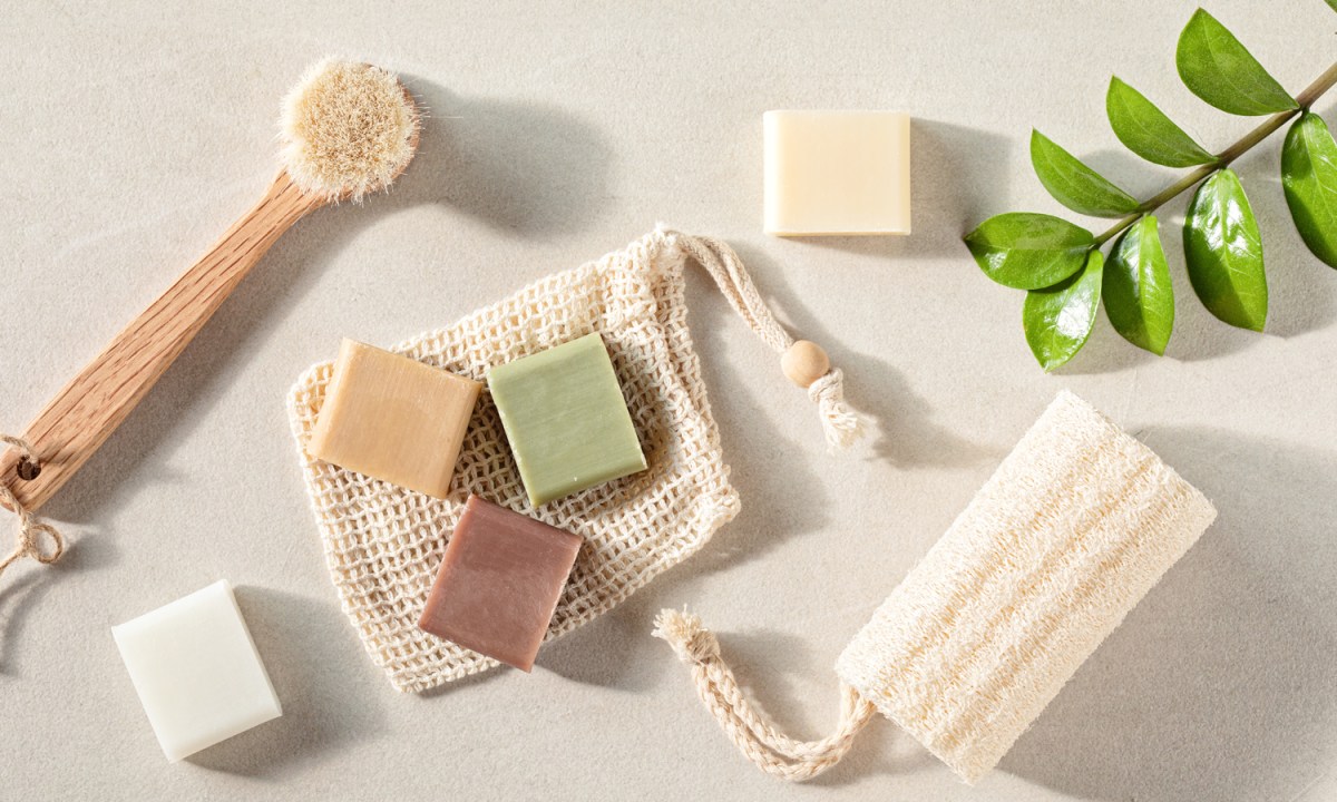 Environment-friendly grooming and bath products beside a plant on a surface.