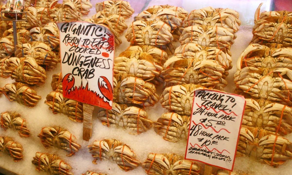 Dungeness crab at market.