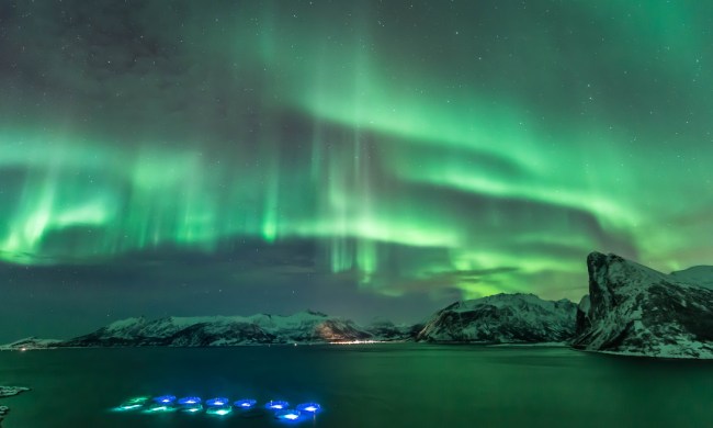 Kvarøy Arctic Farm in Norway under the northern lights.