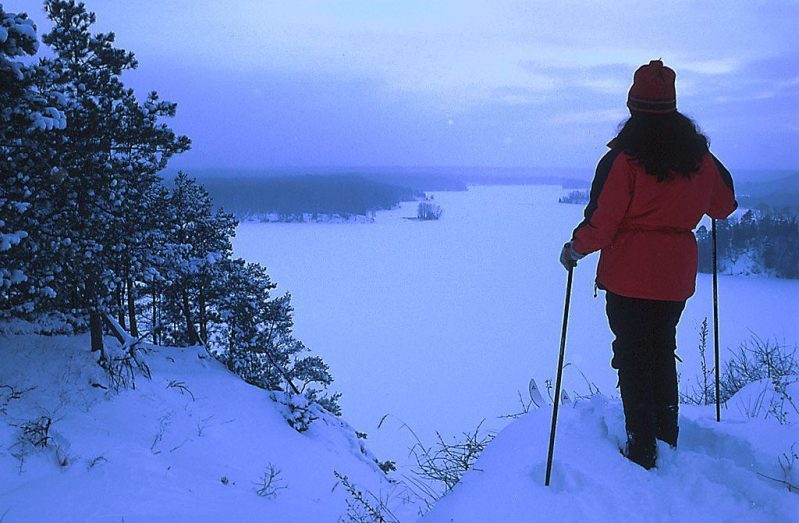 Skier overlooking snowy landscape.