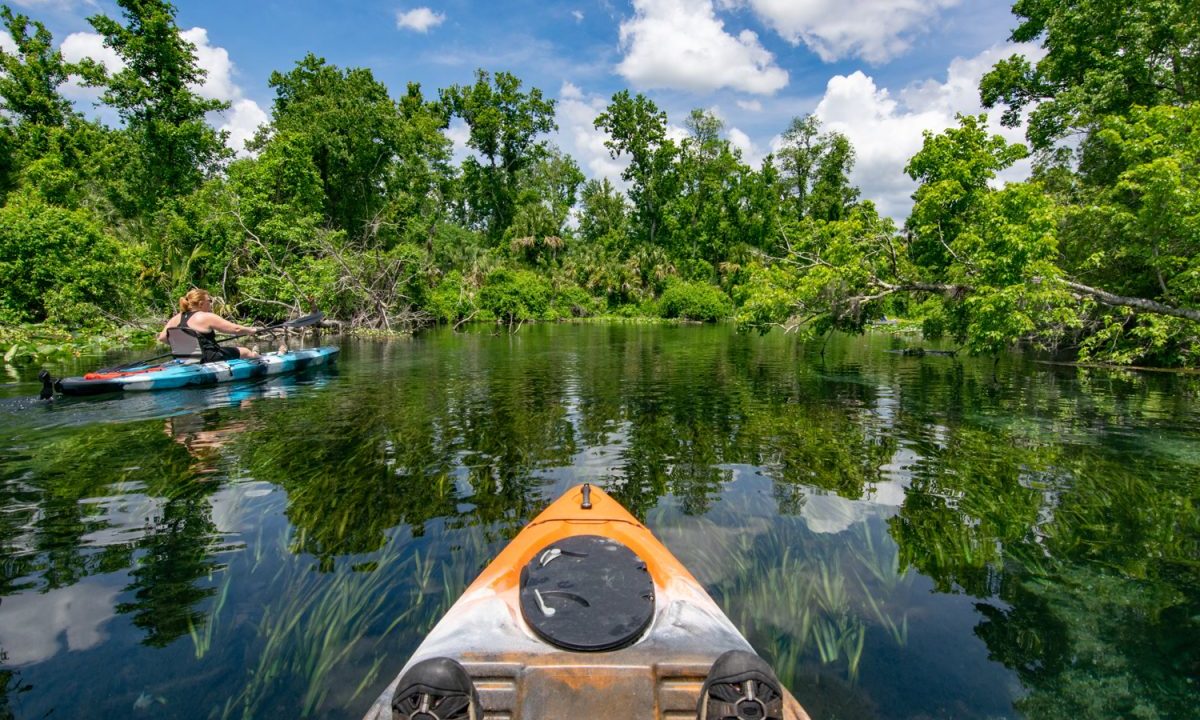 A first-person view of an individual kayaking in Ocala National Forest, Florida