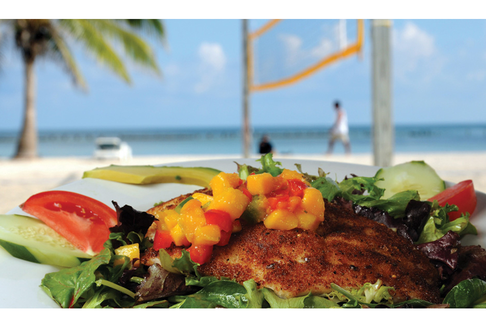 Fish dish from Salute!