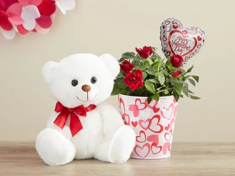 A bundle of roses from 1-800 Flowers with a teddy bear.