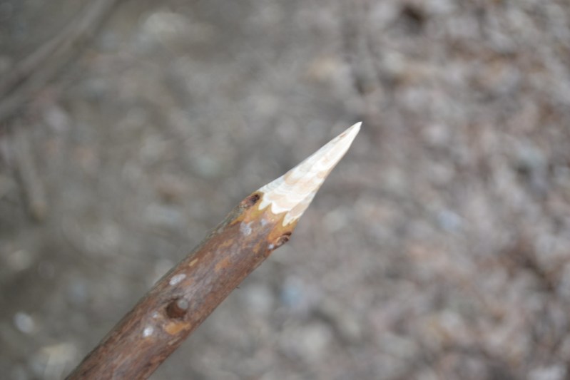 A stick sharpened by hand to a point