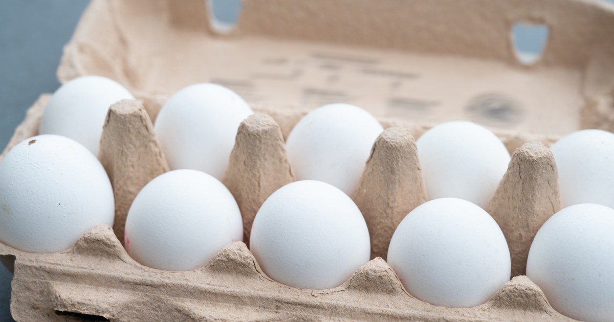 Egg nutrition: Should you eat the whole egg or stick to egg whites?