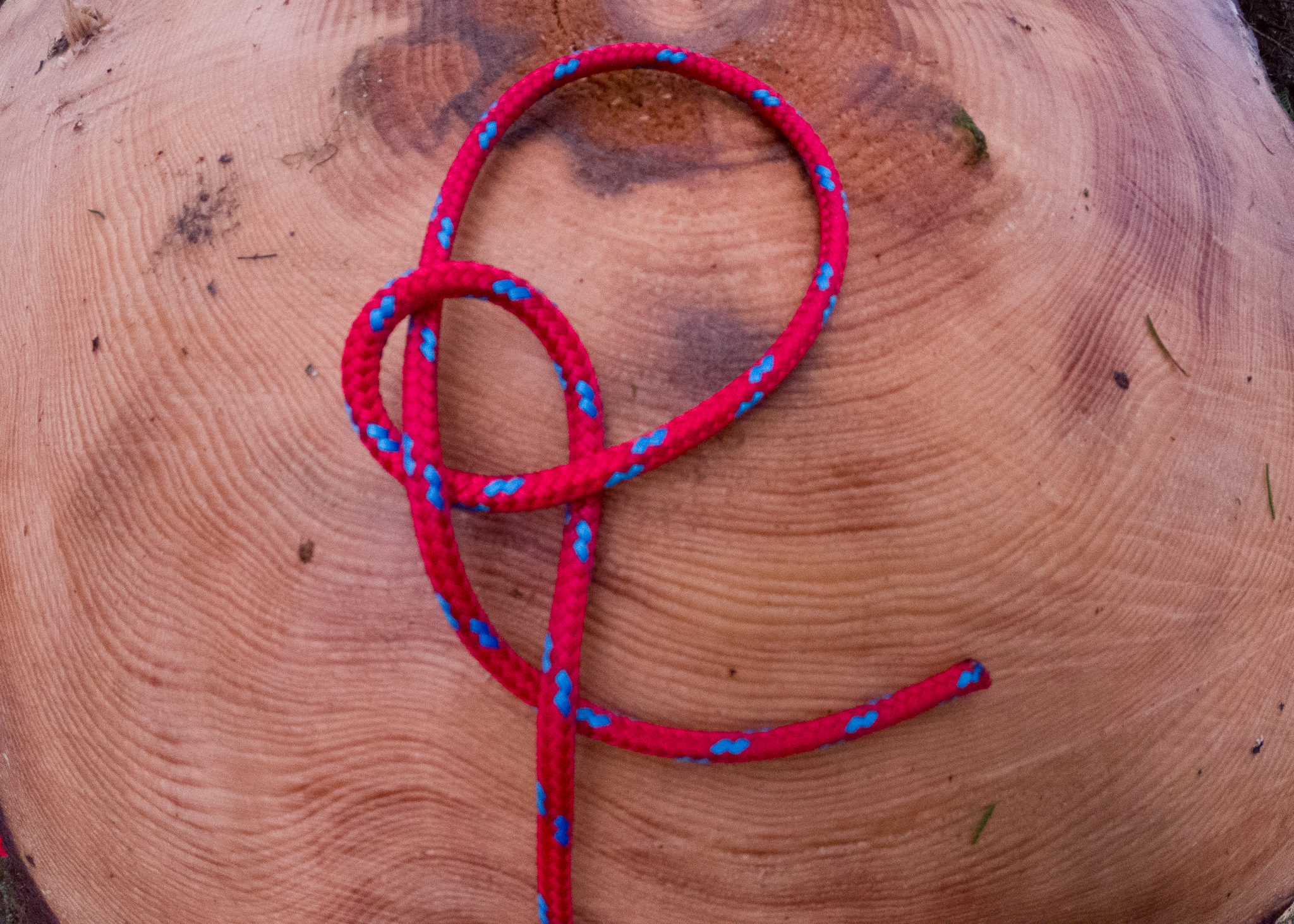 This is the easiest way to tie a bowline knot - The Manual