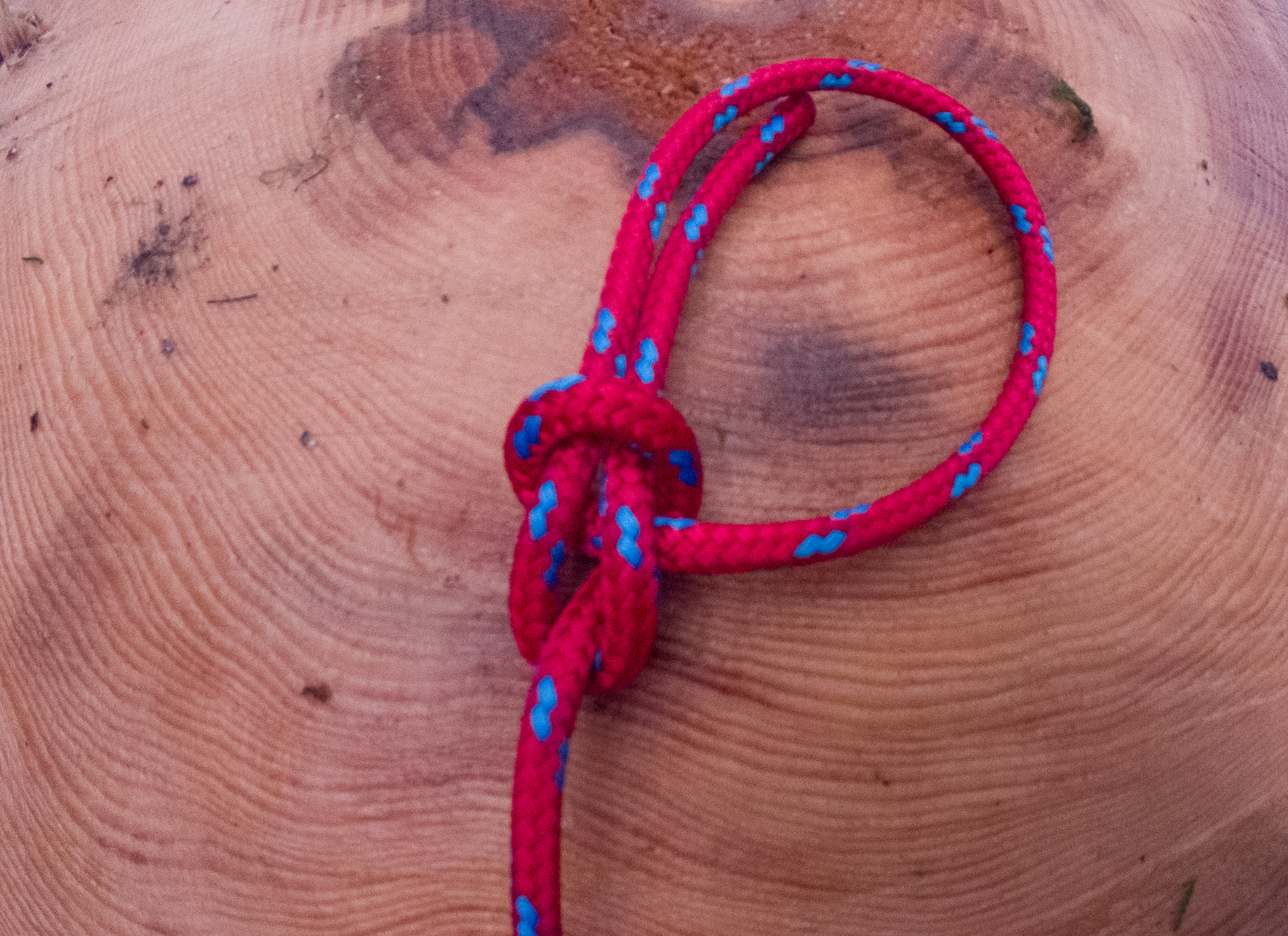 This is the easiest way to tie a bowline knot - The Manual