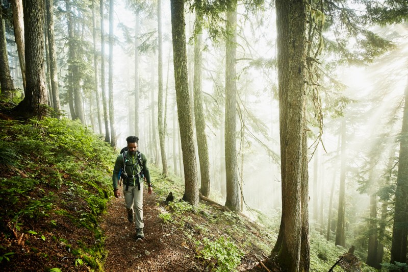 Man hiking along trial in forest on foggy morning.