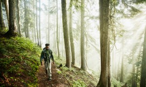 Man hiking along trial in forest on foggy morning.