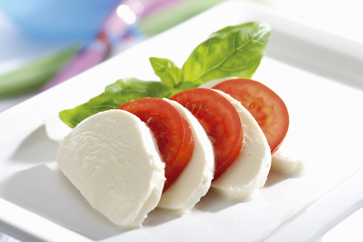 Mozzarella cheese slices with tomatoes and herbs on a plate