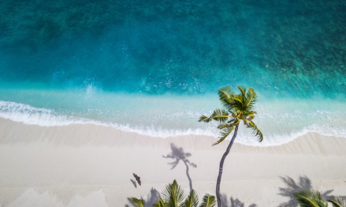 Tropical beach image.