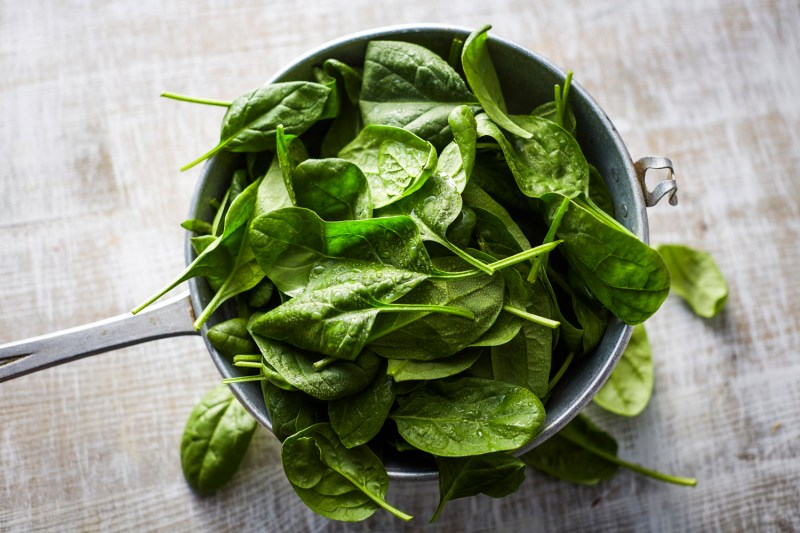 A close-up of spinach leaves on a colander.