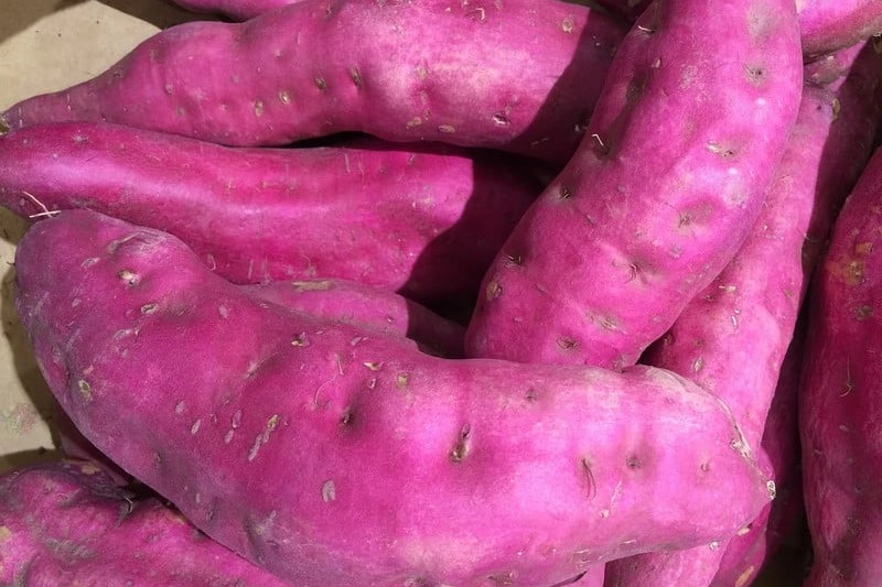 A pile of purple sweet potatoes.