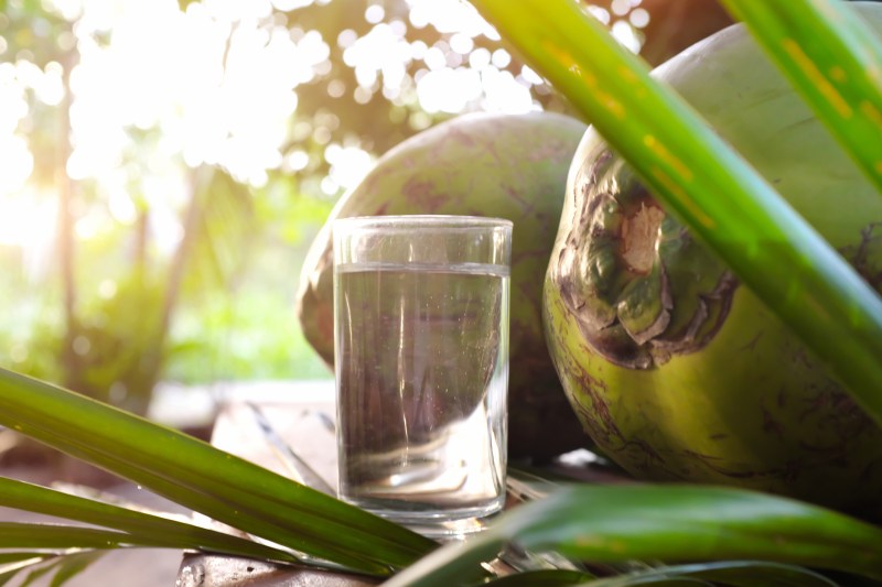 Fresh coconut water juice drink in glass with green young coconuts.