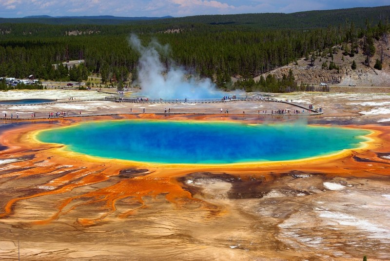A large colorful hot spring surrounded by yellow ground and trees in the background.