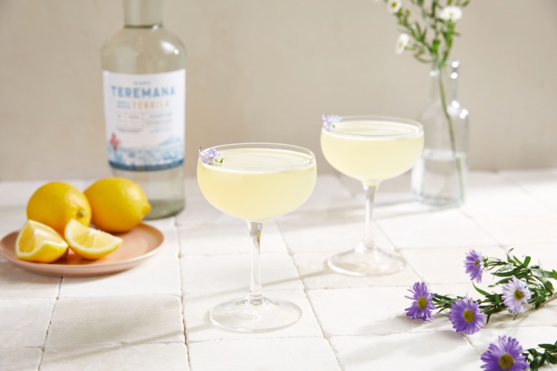 Two glasses of Mana Daisy cocktail with an empty bottle of liquor, a plate of lemons, purple flowers, and white flowers in a bottle