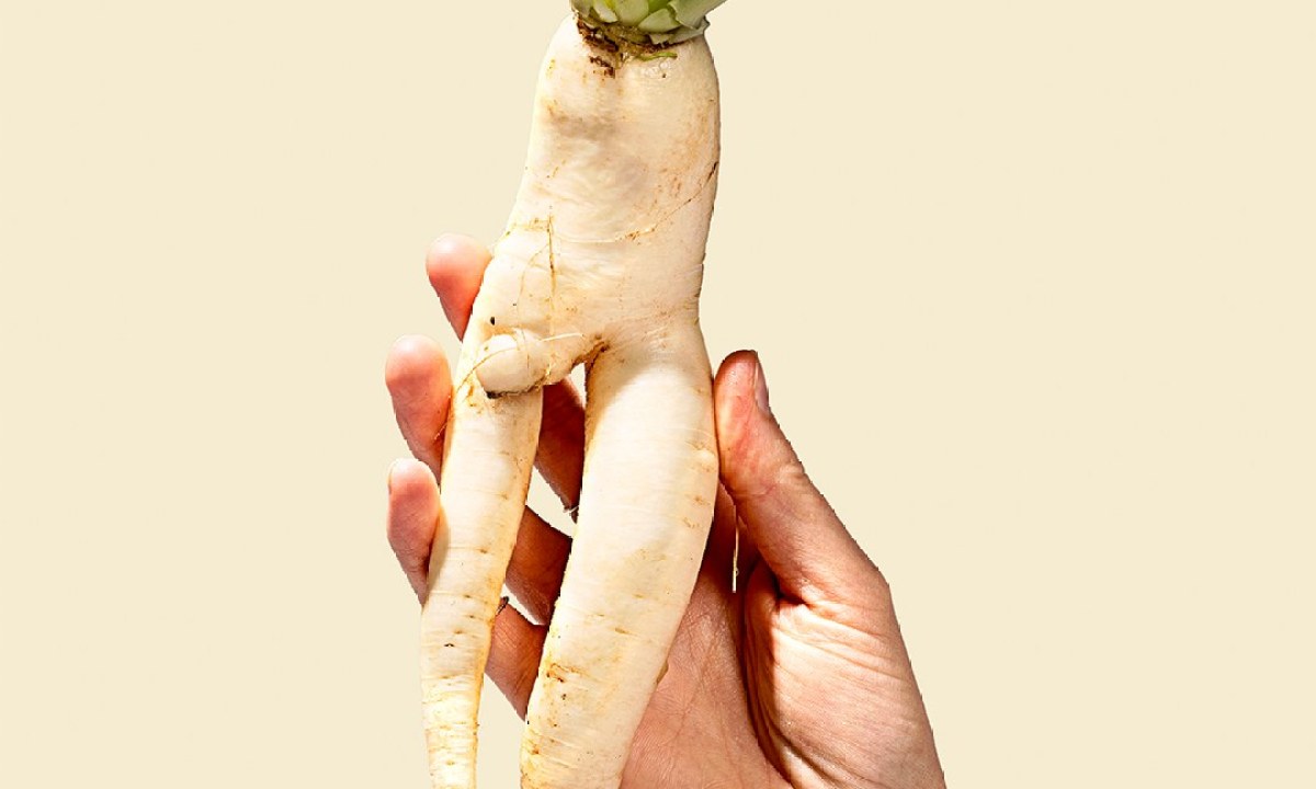 ugly produce misfits market radish