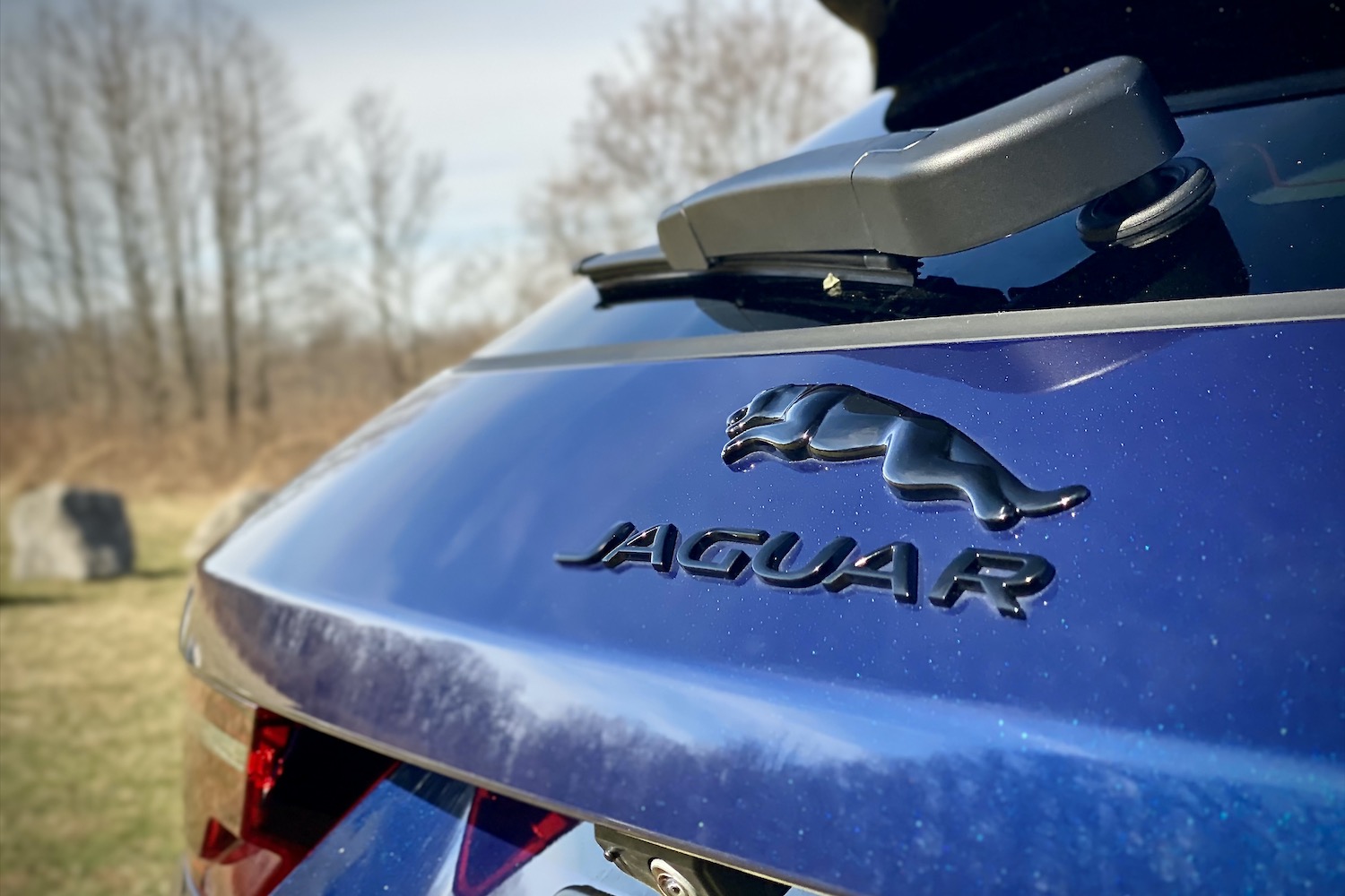 Close up of 2022 Jaguar F-Pace R Dynamic S Jaguar badge on the back liftgate.