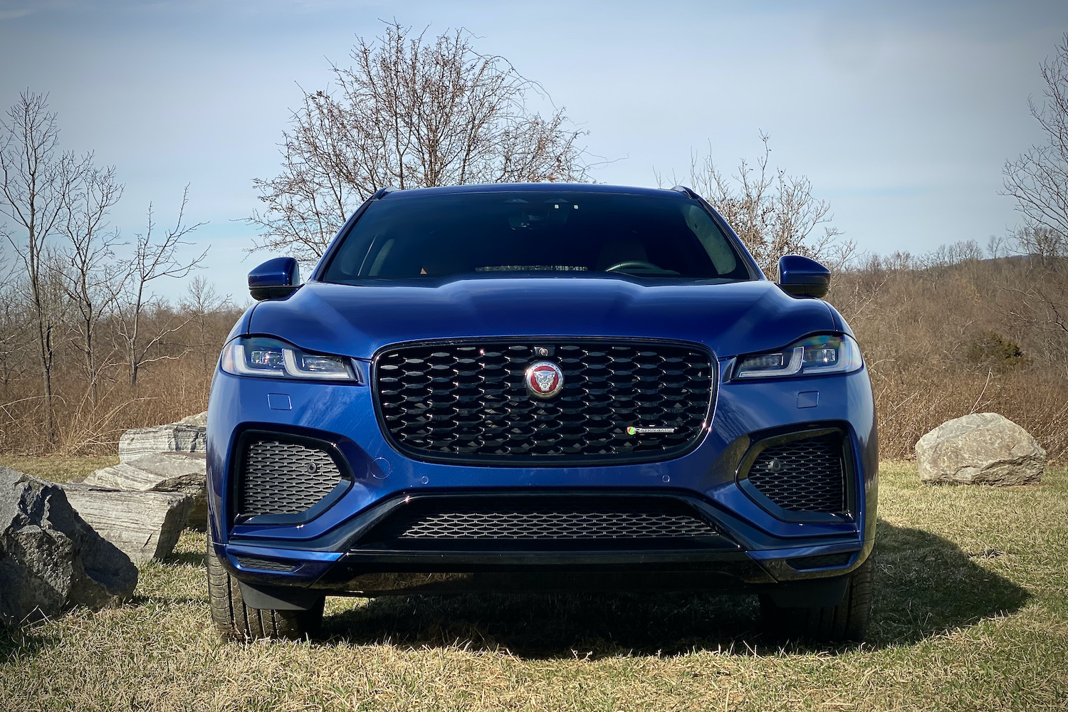 Close up of 2022 Jaguar F-Pace R Dynamic S front end in front of rocks.