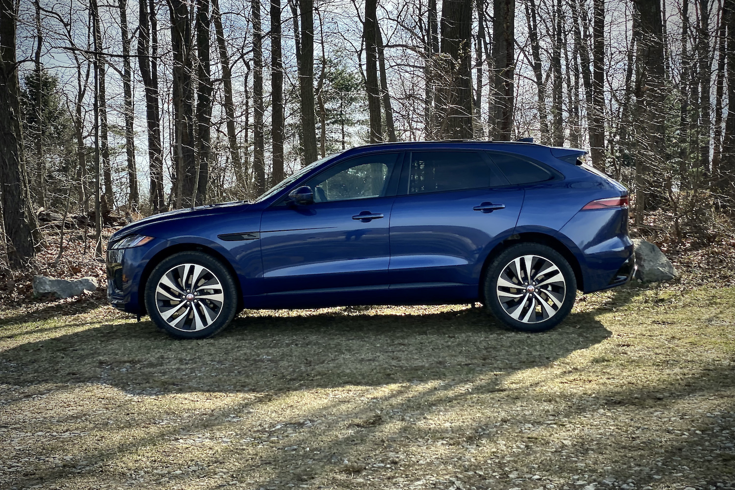 Side profile of 2022 Jaguar F-Pace R Dynamic S in a grassy field with trees in the back.