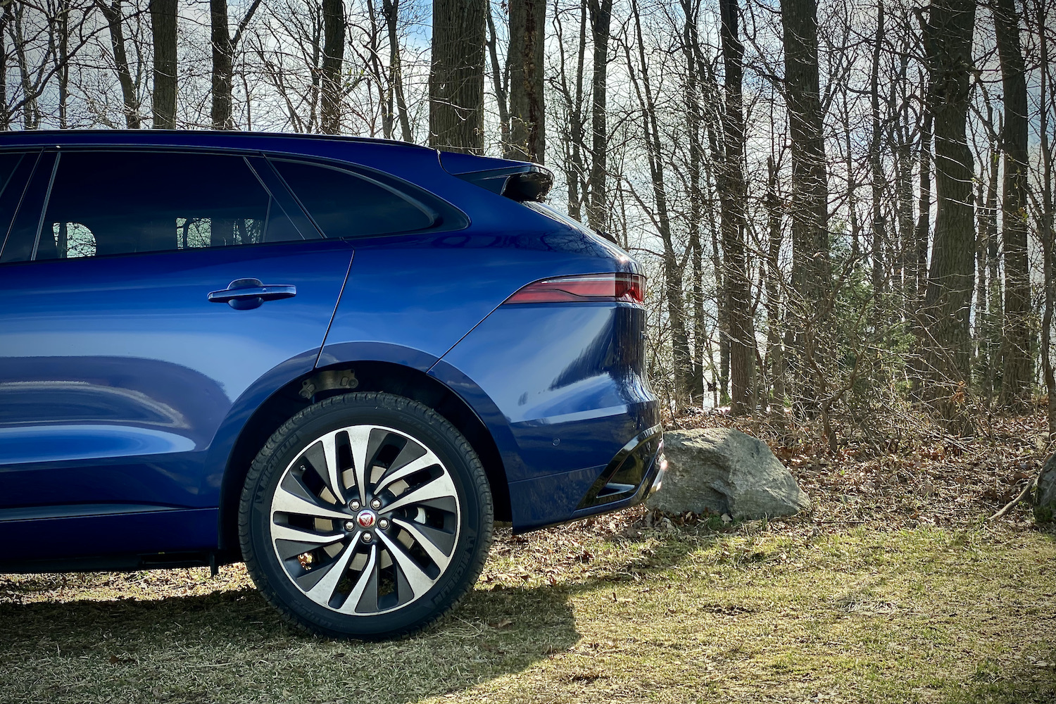 Close up side profile of 2022 Jaguar F-Pace R Dynamic S in a grassy field with trees in the background.