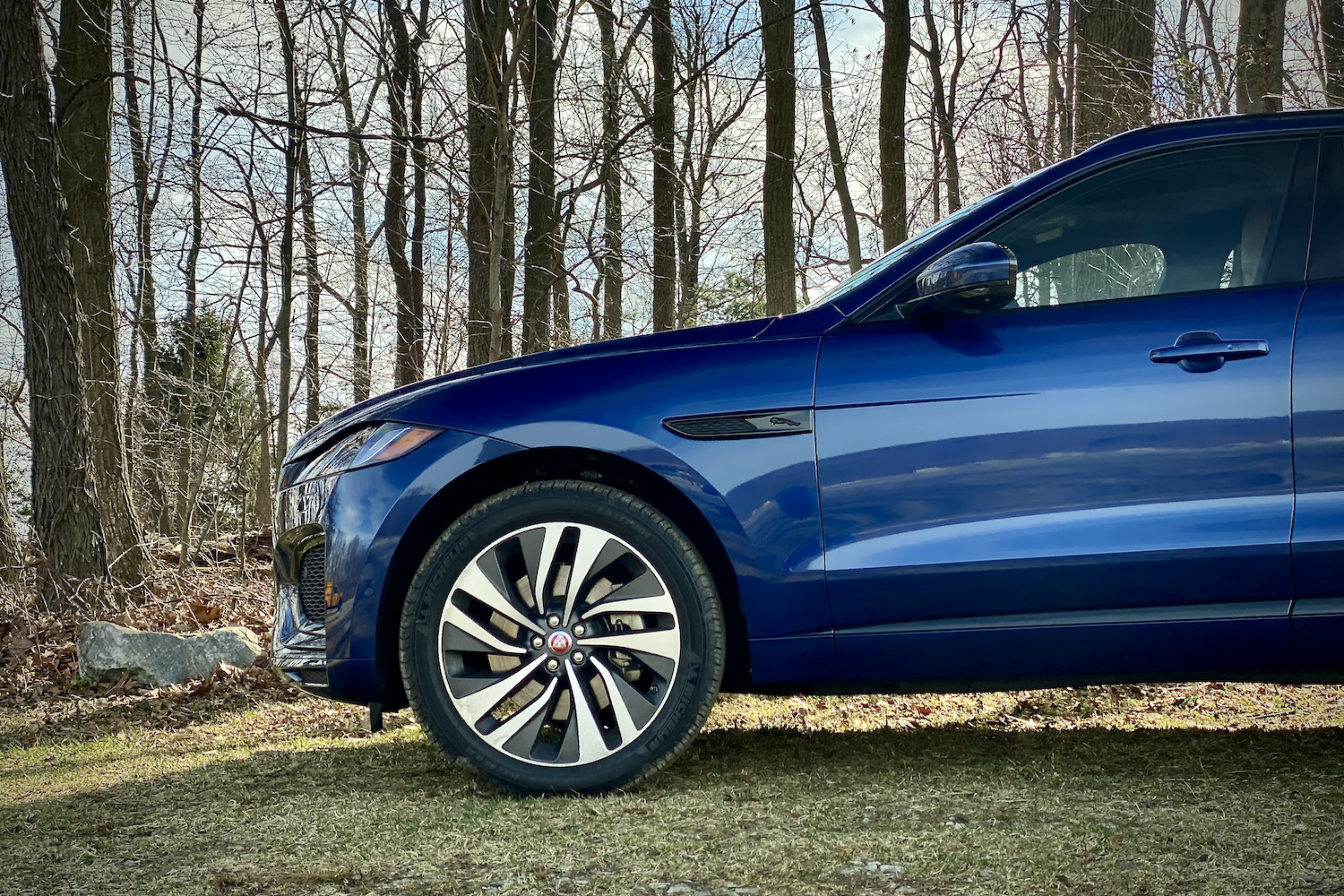 Close up of 2022 Jaguar F-Pace R Dynamic S front end in a grassy field with trees in the background.