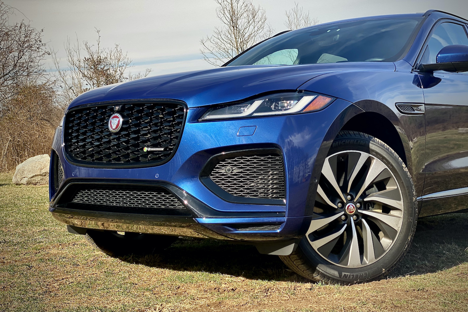 Close up of 2022 Jaguar F-Pace R Dynamic S front end from driver's side angle in a grass field.