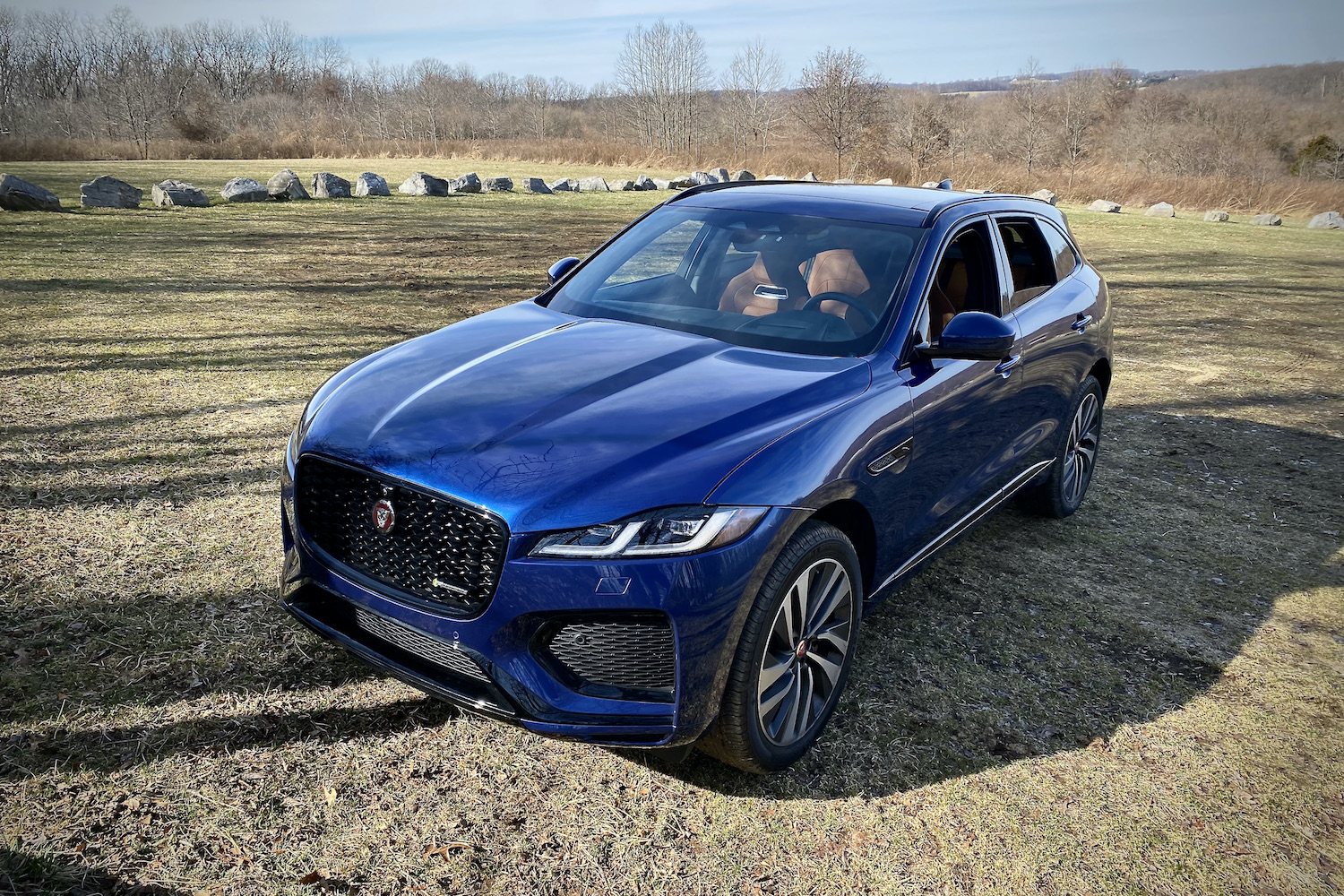 Full profile view of 2022 Jaguar F-Pace R Dynamic S in a grassy field with trees in the background.