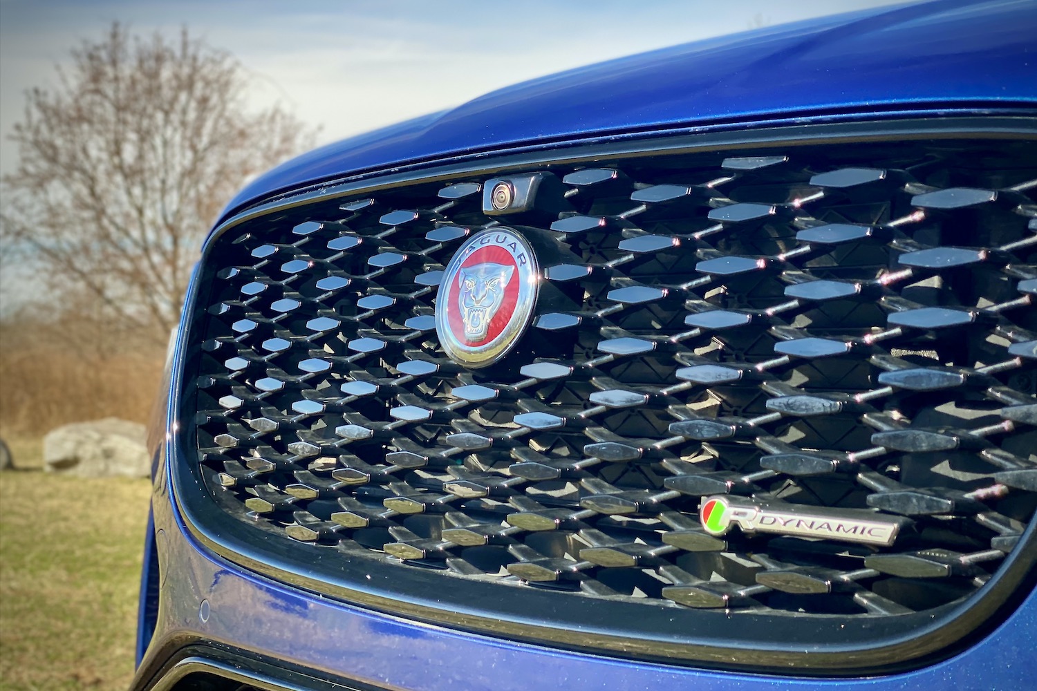 2022 Jaguar F-Pace R Dynamic S close up of front end grille with trees in the background.