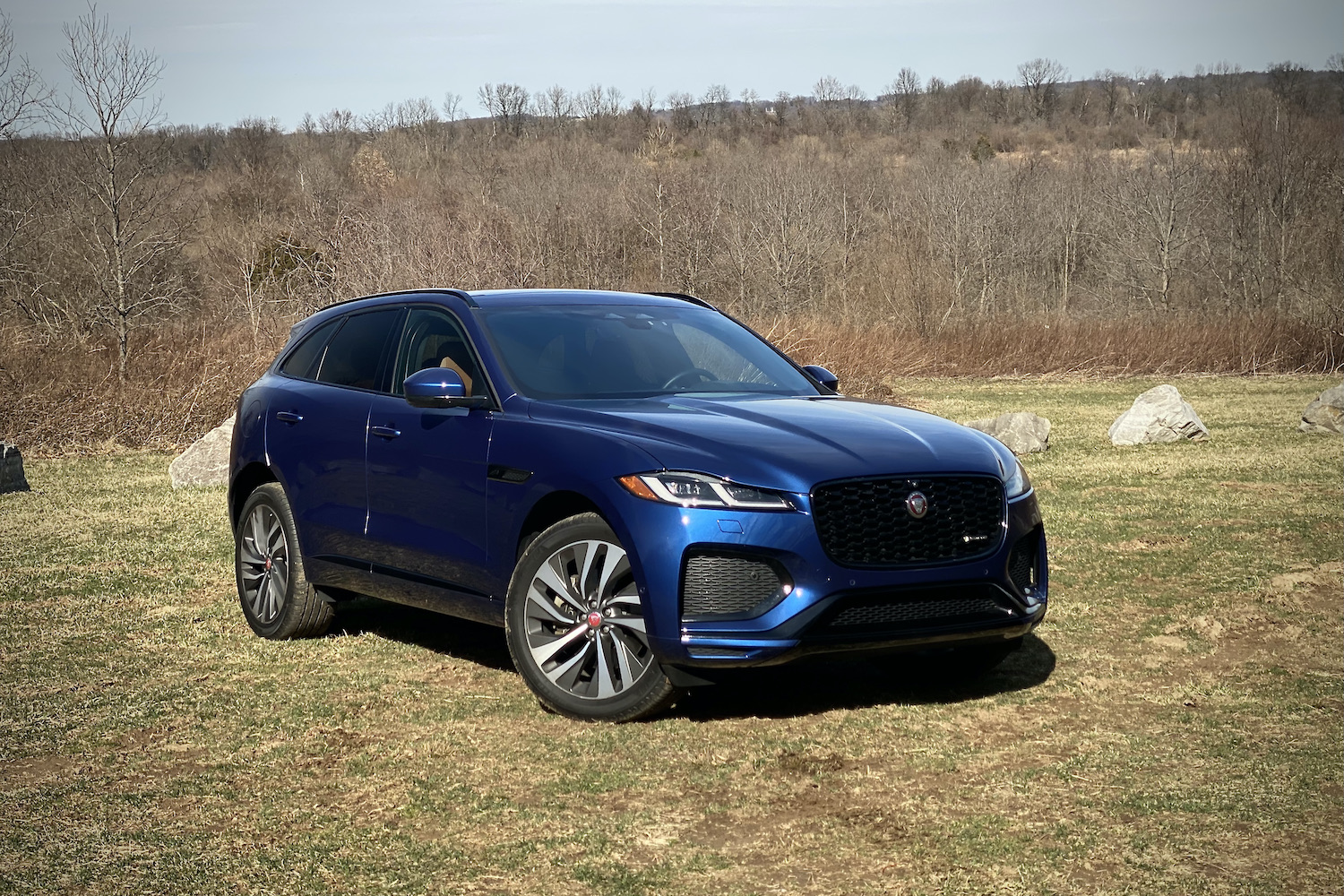 2022 Jaguar F-Pace R Dynamic S front end up from passenger's side in a grassy field.